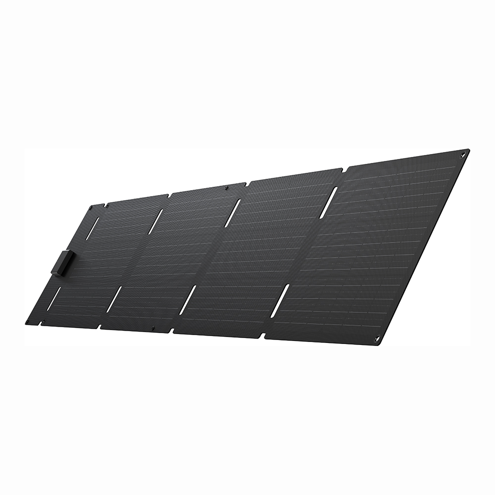 EcoFlow 60W Tragbares Solarpanel | Type-C