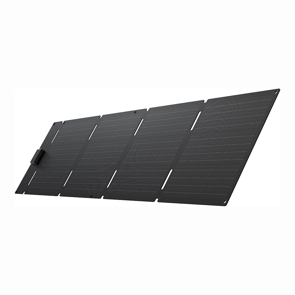 EcoFlow 60W Tragbares Solarpanel | Type-C